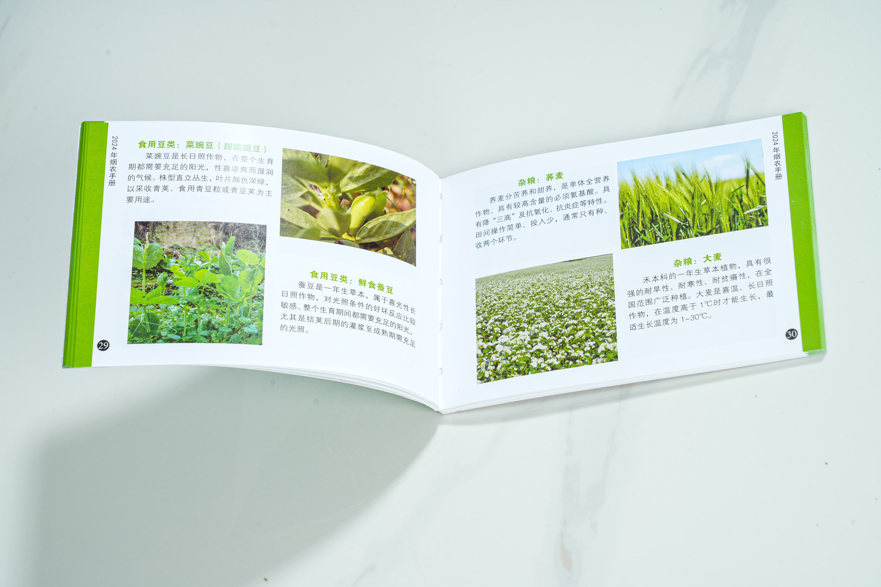 宣傳畫(huà)冊(cè)印刷知識(shí)